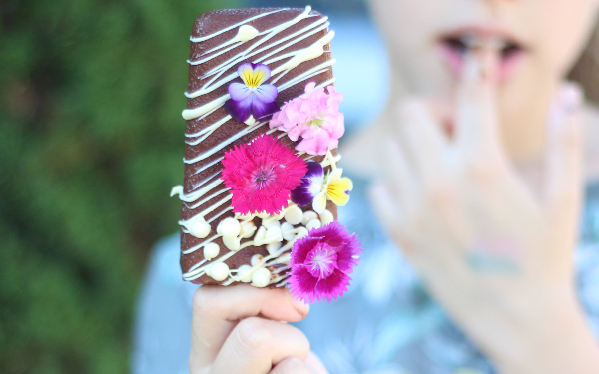 Popsicles in miami